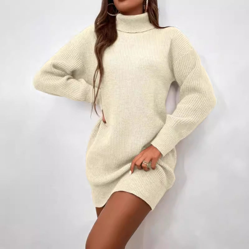 Evoque™ | Viral Turtleneck Dress